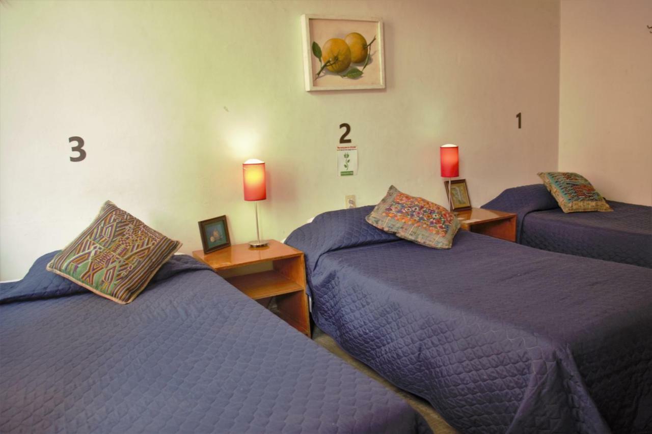 Hotel Lit Guadalajara Dış mekan fotoğraf