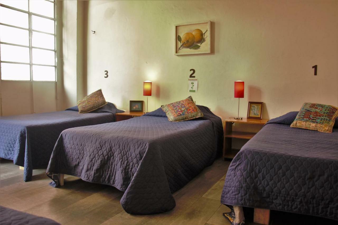 Hotel Lit Guadalajara Dış mekan fotoğraf
